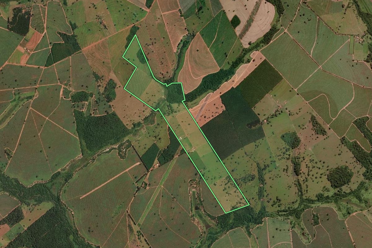 Imagem de satélite do imóvel rural em Nova Granada (SP), com o contorno declarado no CAR desenhado por cima.