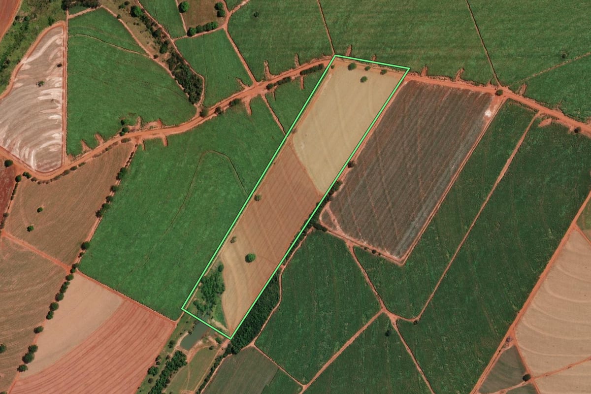 Imagem de satélite do imóvel rural em Nova Granada (SP), com o contorno declarado no CAR desenhado por cima.