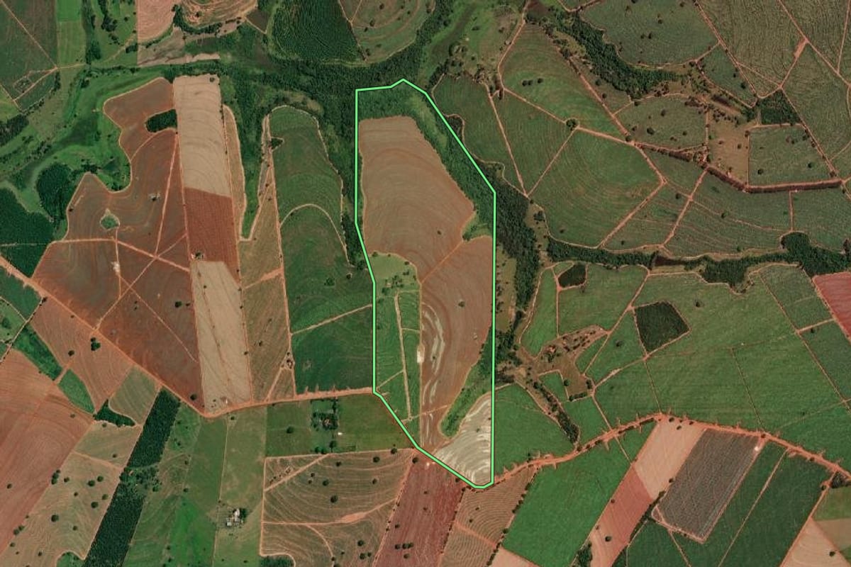 Imagem de satélite do imóvel rural em Nova Granada (SP), com o contorno declarado no CAR desenhado por cima.