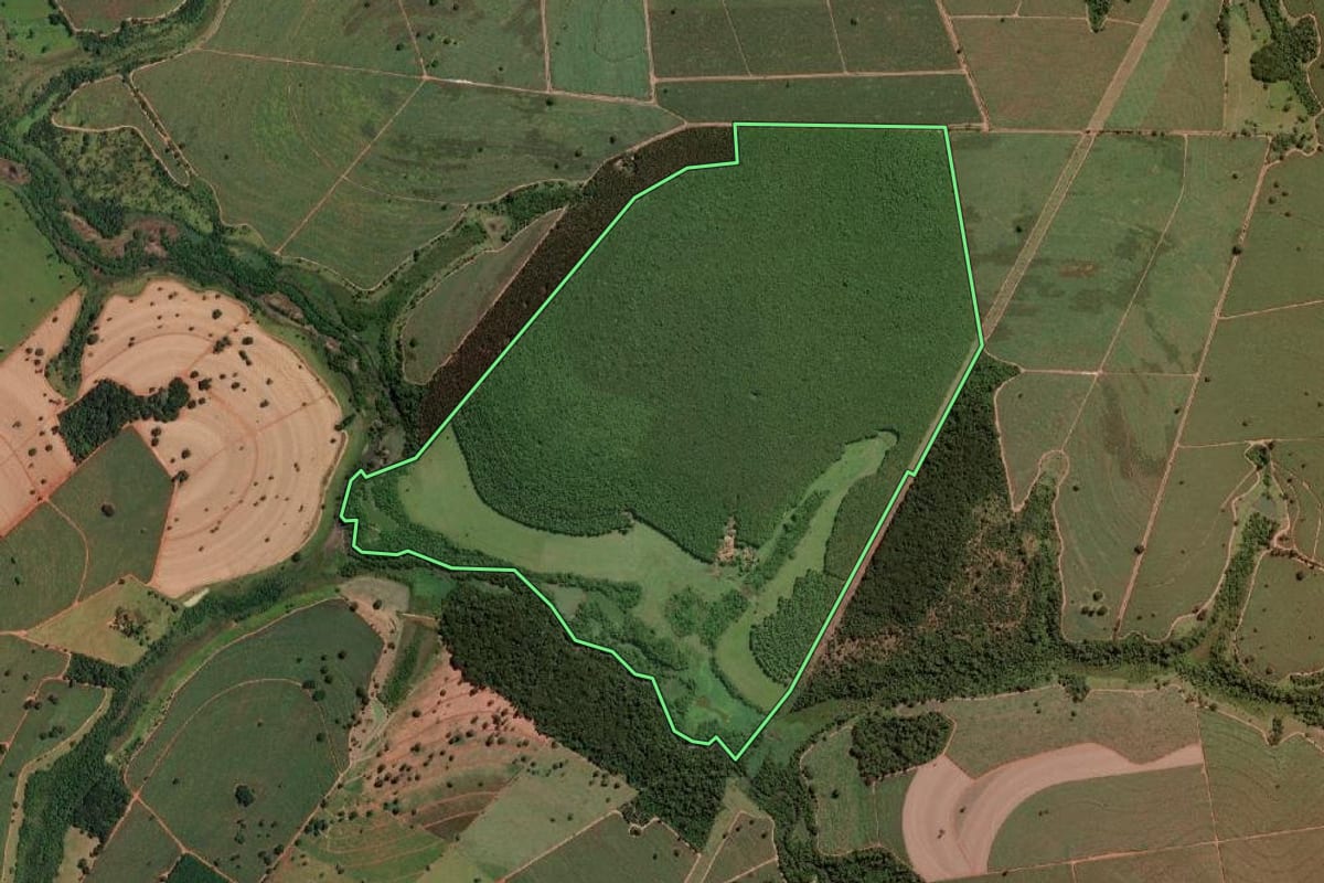 Imagem de satélite do imóvel rural em Nova Granada (SP), com o contorno declarado no CAR desenhado por cima.