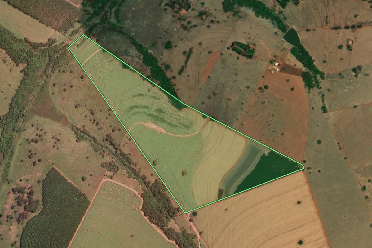 Imagem de satélite do imóvel rural em Nova Granada (SP), com o contorno declarado no CAR desenhado por cima.