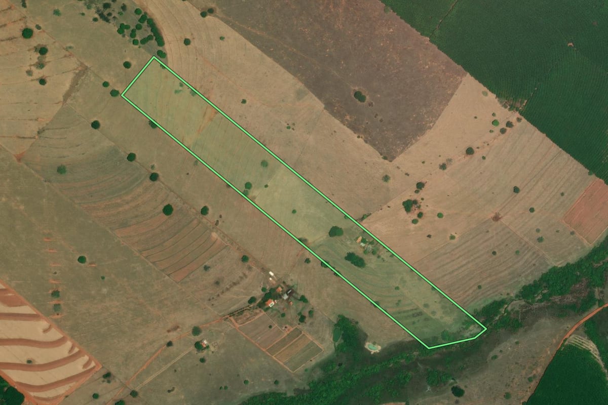 Imagem de satélite do imóvel rural em Nova Granada (SP), com o contorno declarado no CAR desenhado por cima.
