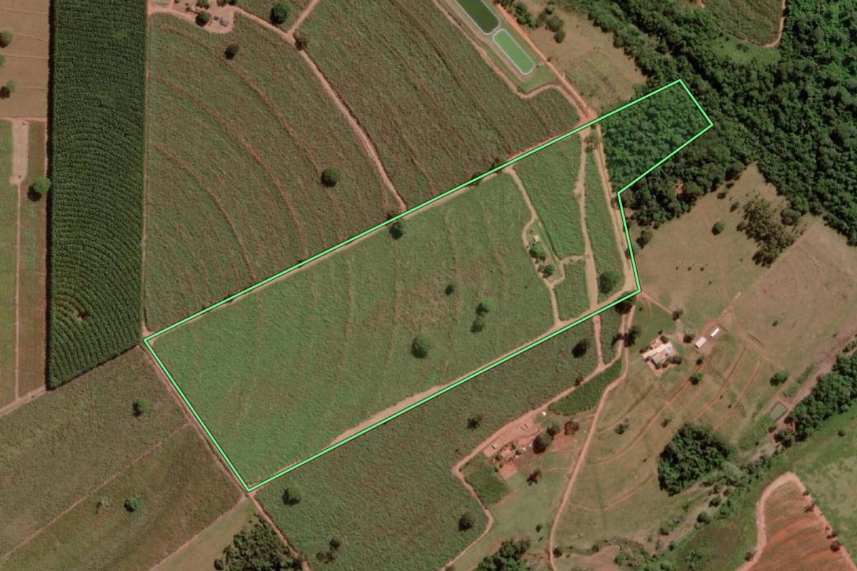 Imagem de satélite do imóvel rural em Nova Granada (SP), com o contorno declarado no CAR desenhado por cima.