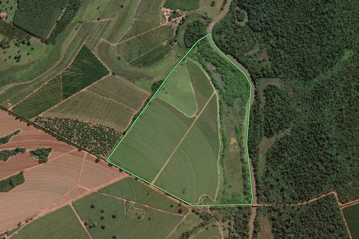 Imagem de satélite do imóvel rural em Nova Granada (SP), com o contorno declarado no CAR desenhado por cima.