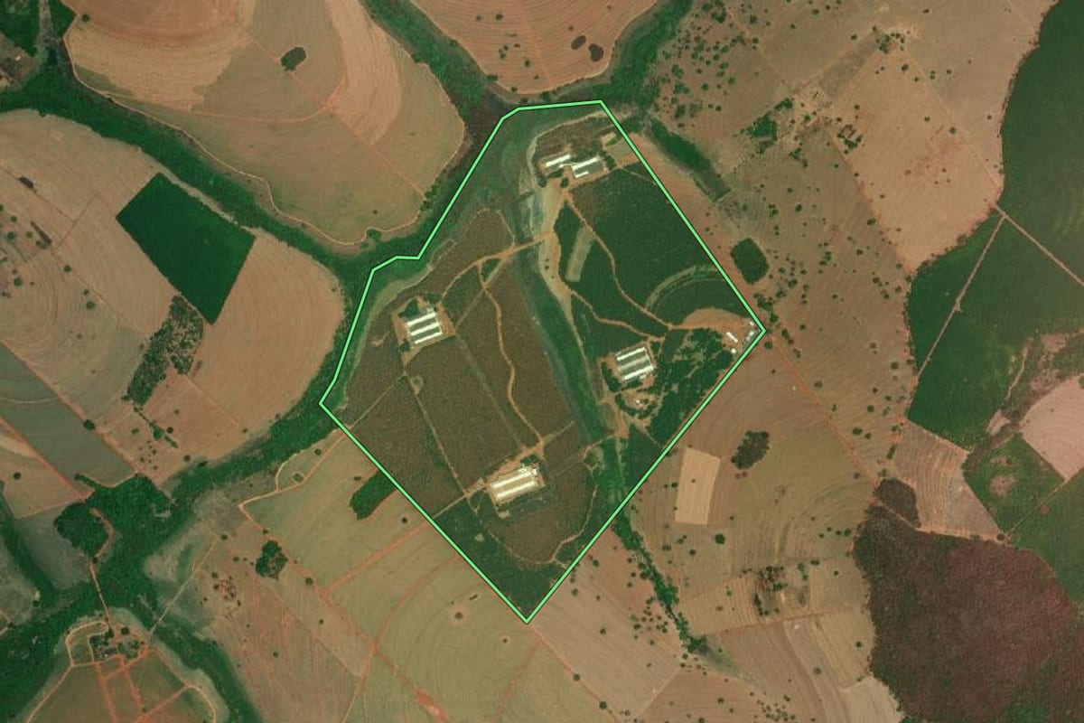 Imagem de satélite do imóvel rural em Nova Granada (SP), com o contorno declarado no CAR desenhado por cima.