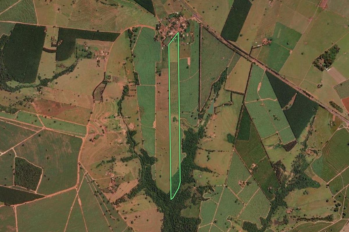 Imagem de satélite do imóvel rural em Nova Granada (SP), com o contorno declarado no CAR desenhado por cima.