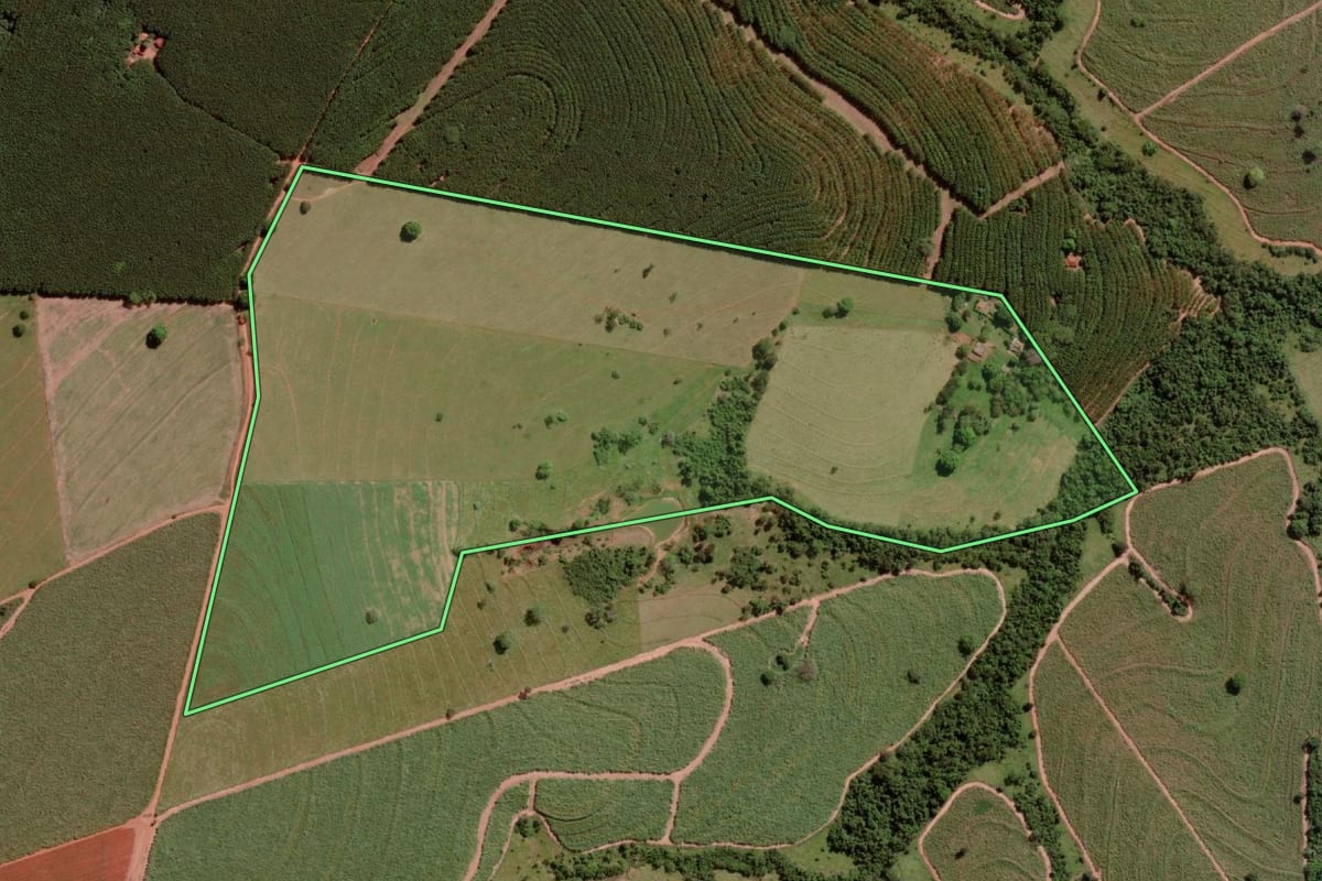 Imagem de satélite do imóvel rural em Nova Granada (SP), com o contorno declarado no CAR desenhado por cima.