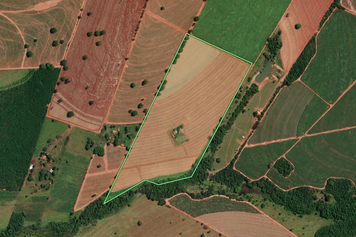 Imagem de satélite do imóvel rural em Nova Granada (SP), com o contorno declarado no CAR desenhado por cima.