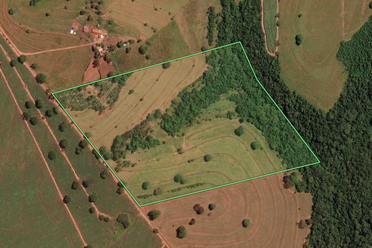 Imagem de satélite do imóvel rural em Nova Granada (SP), com o contorno declarado no CAR desenhado por cima.