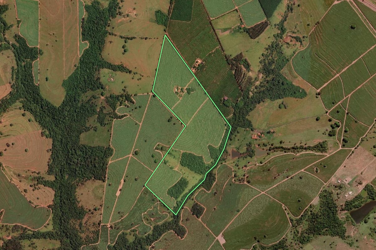 Imagem de satélite do imóvel rural em Nova Granada (SP), com o contorno declarado no CAR desenhado por cima.