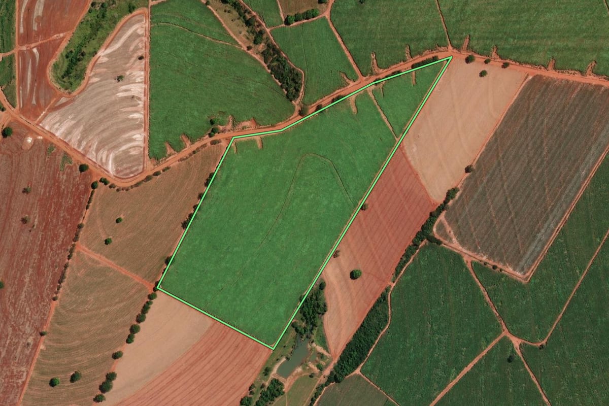 Imagem de satélite do imóvel rural em Nova Granada (SP), com o contorno declarado no CAR desenhado por cima.