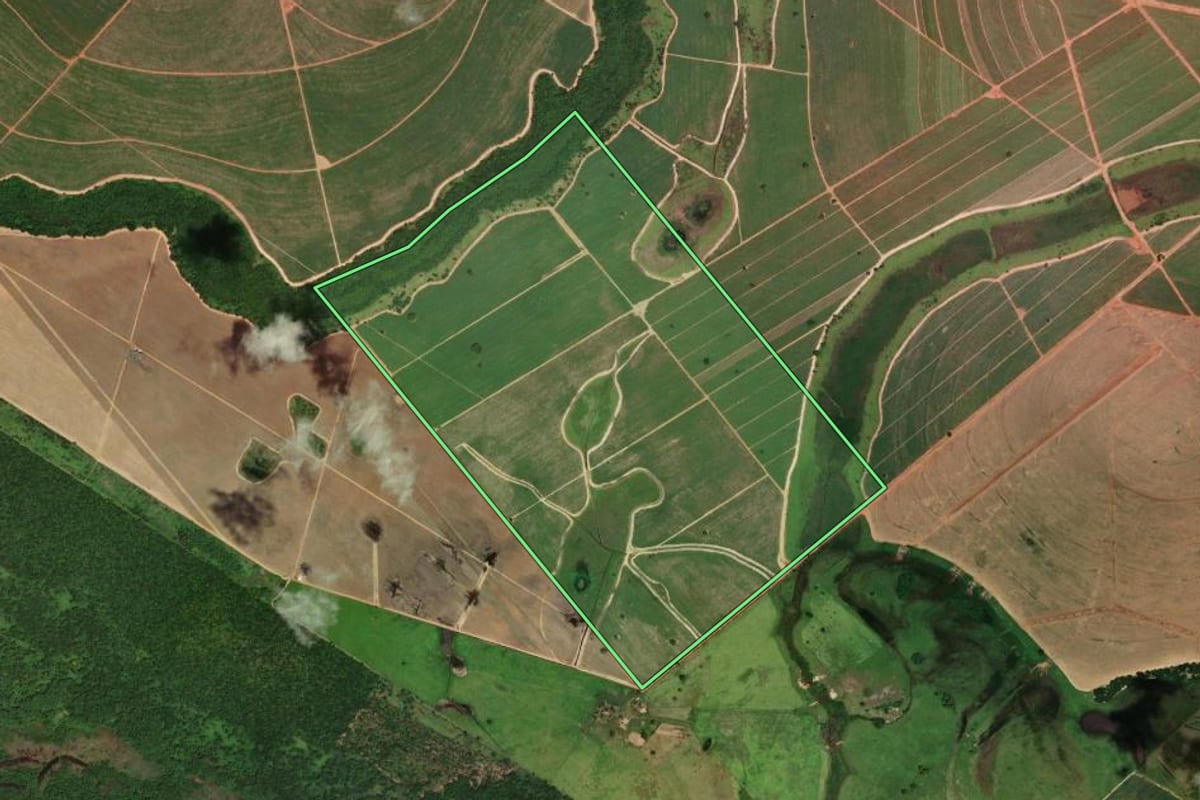 Imagem de satélite do imóvel rural em Nova Independência (SP), com o contorno declarado no CAR desenhado por cima.