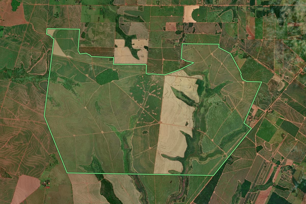Imagem de satélite do imóvel rural em Nova Independência (SP), com o contorno declarado no CAR desenhado por cima.