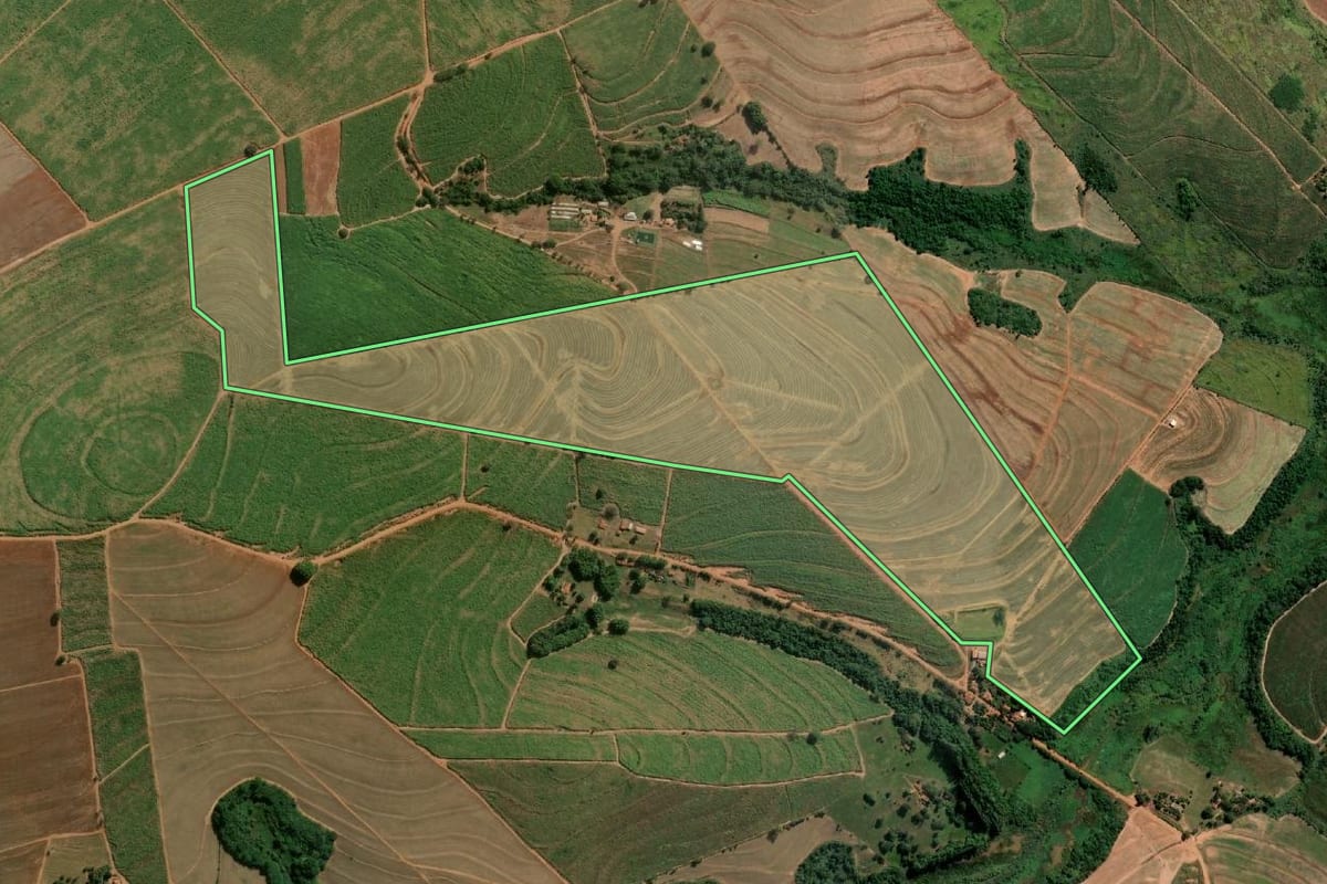 Imagem de satélite do imóvel rural em Catanduva (SP), com o contorno declarado no CAR desenhado por cima.