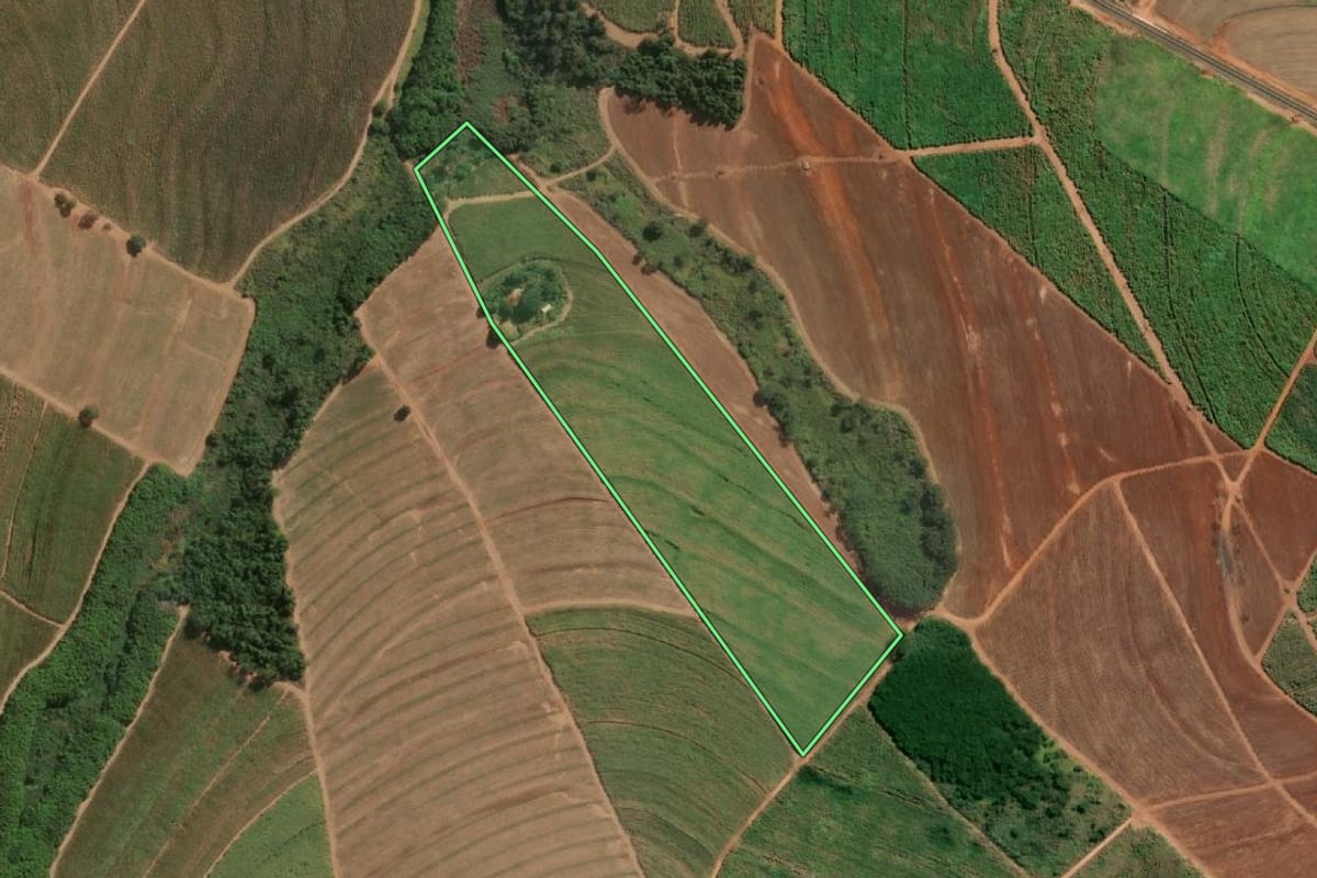 Imagem de satélite do imóvel rural em Novais (SP), com o contorno declarado no CAR desenhado por cima.