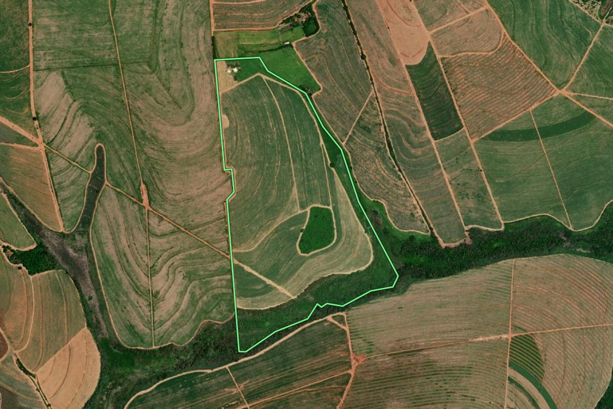 Imagem de satélite do imóvel rural em Novais (SP), com o contorno declarado no CAR desenhado por cima.