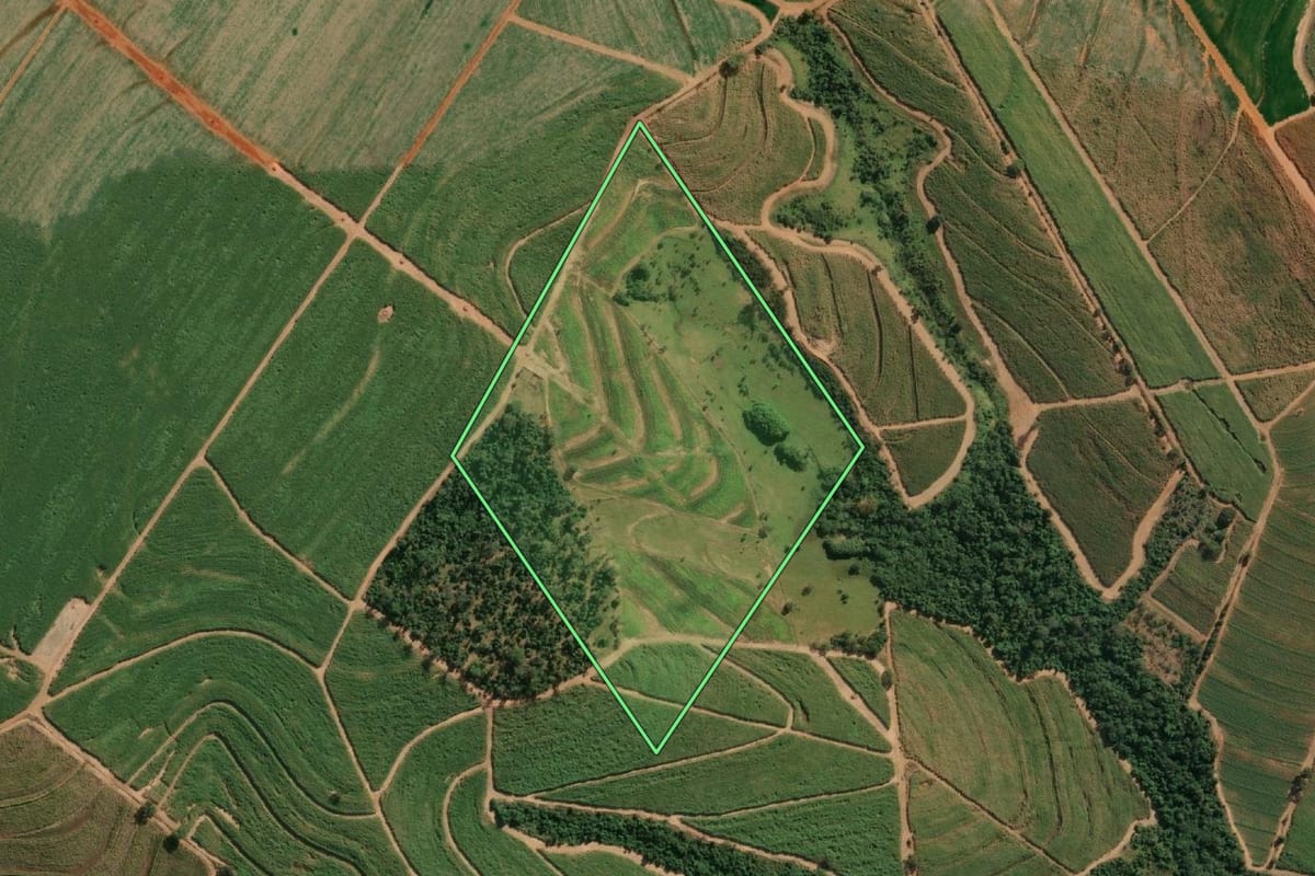 Imagem de satélite do imóvel rural em Novais (SP), com o contorno declarado no CAR desenhado por cima.