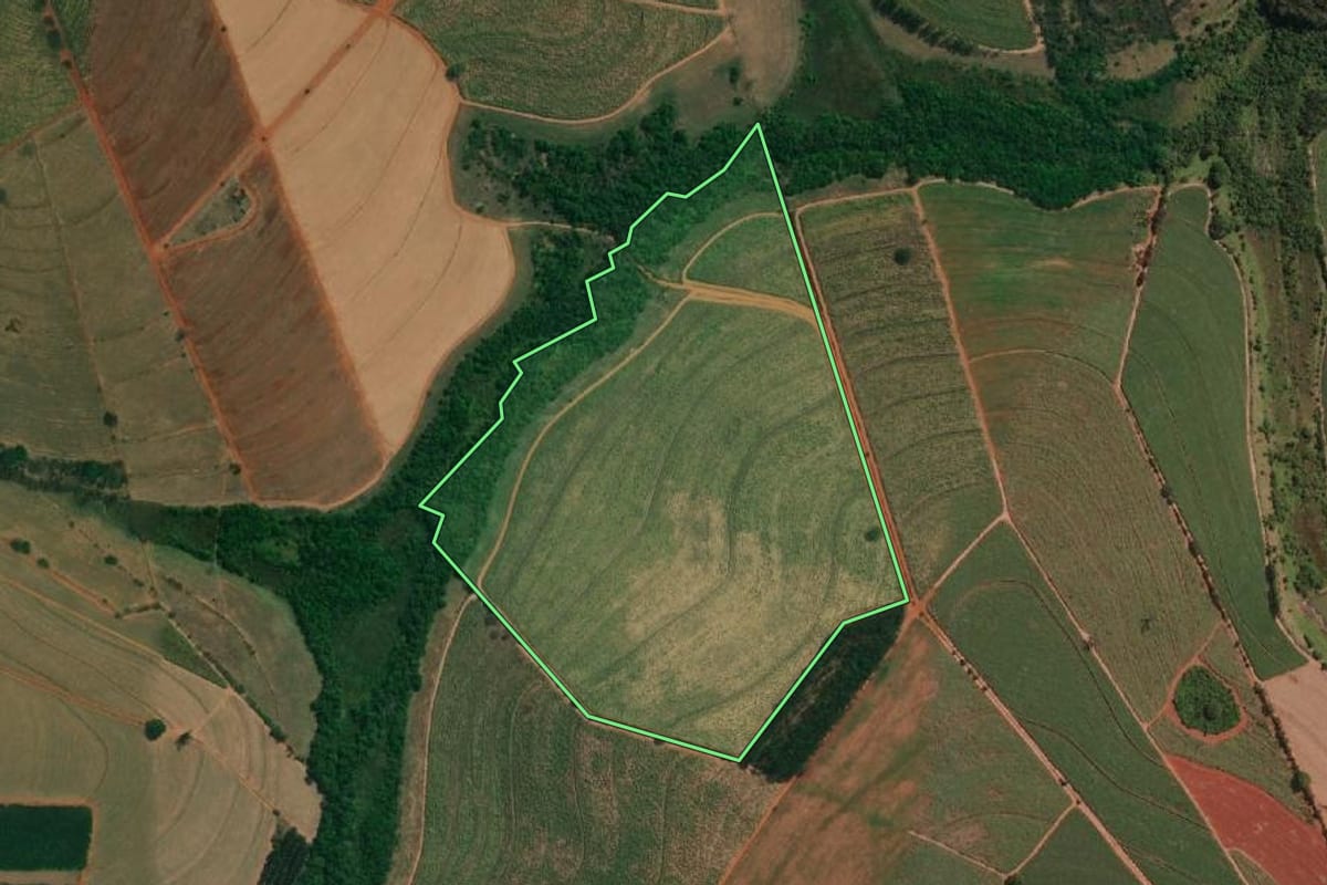 Imagem de satélite do imóvel rural em Novais (SP), com o contorno declarado no CAR desenhado por cima.
