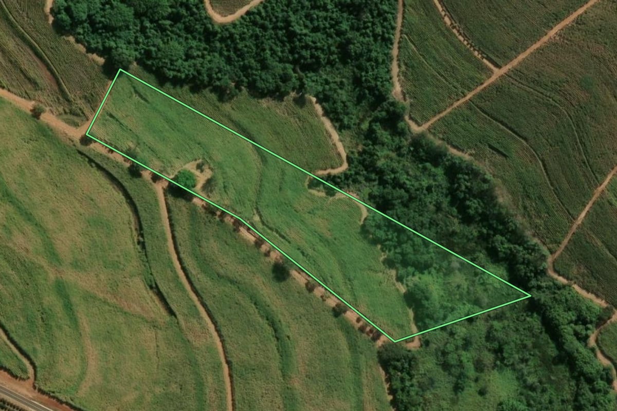 Imagem de satélite do imóvel rural em Novais (SP), com o contorno declarado no CAR desenhado por cima.
