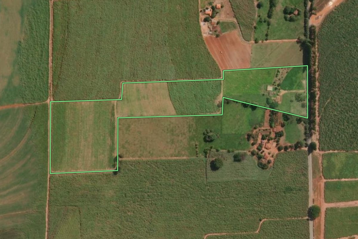 Imagem de satélite do imóvel rural em Novais (SP), com o contorno declarado no CAR desenhado por cima.