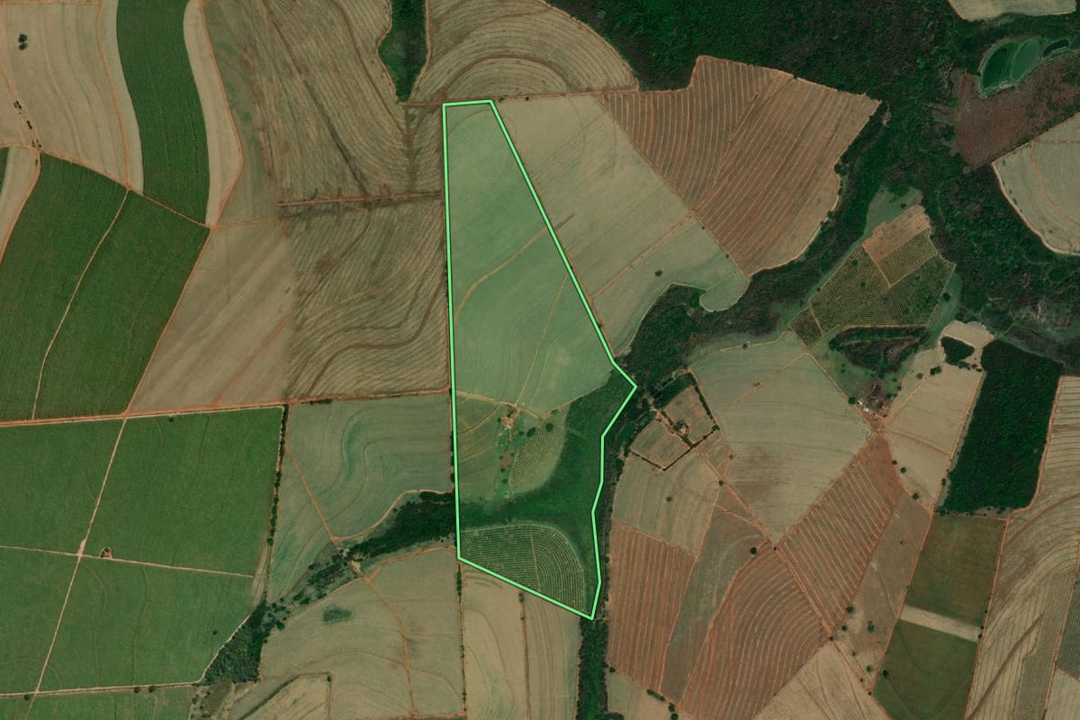 Imagem de satélite do imóvel rural em Novais (SP), com o contorno declarado no CAR desenhado por cima.