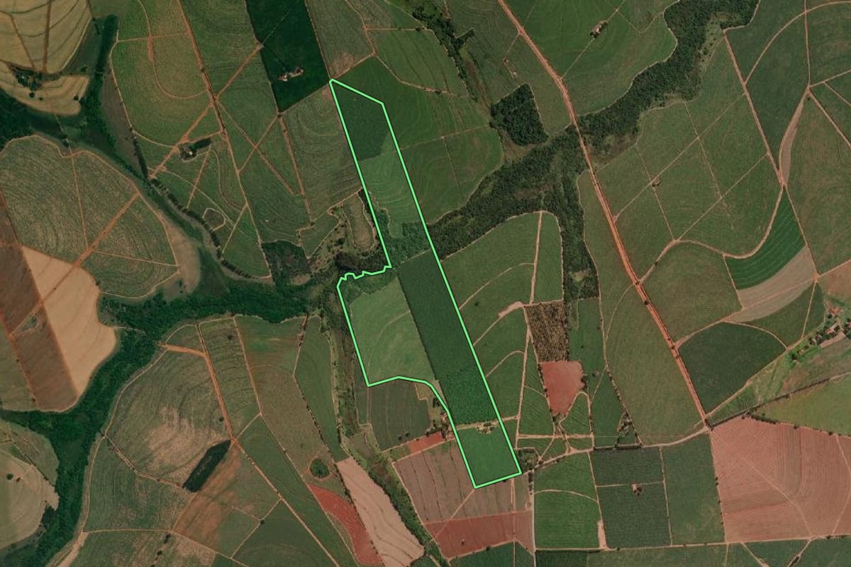 Imagem de satélite do imóvel rural em Novais (SP), com o contorno declarado no CAR desenhado por cima.