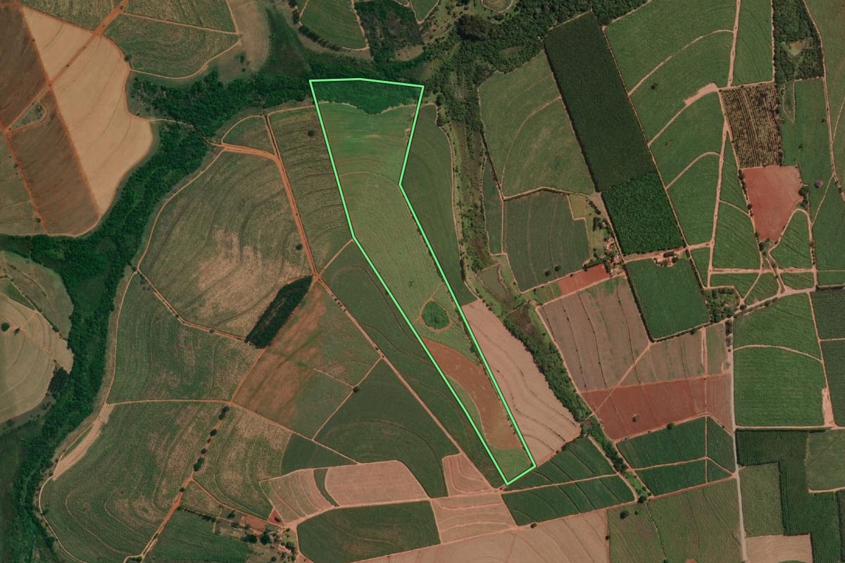 Imagem de satélite do imóvel rural em Novais (SP), com o contorno declarado no CAR desenhado por cima.
