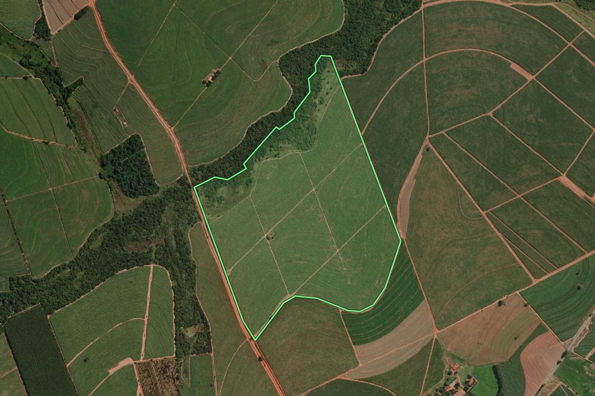 Imagem de satélite do imóvel rural em Novais (SP), com o contorno declarado no CAR desenhado por cima.