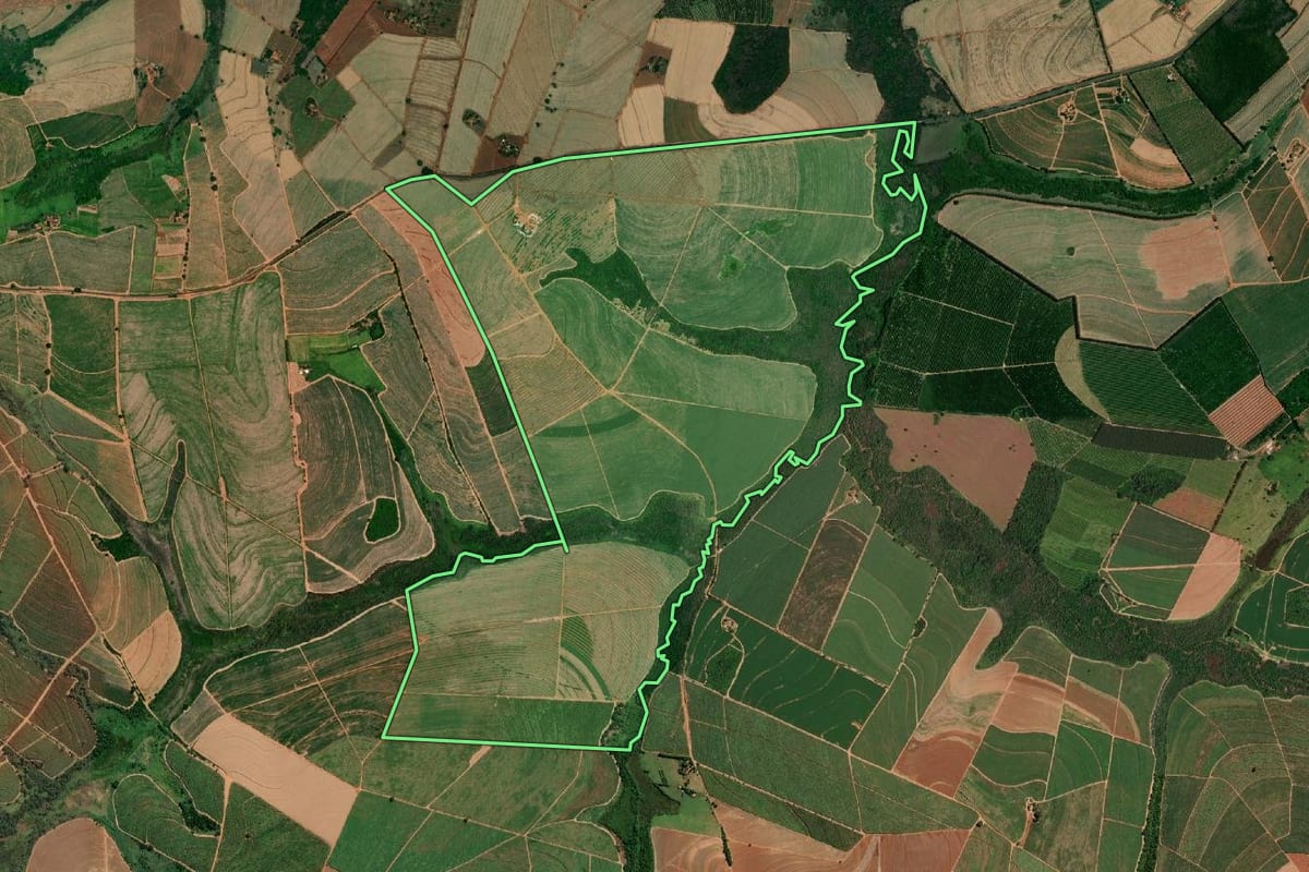 Imagem de satélite do imóvel rural em Novais (SP), com o contorno declarado no CAR desenhado por cima.