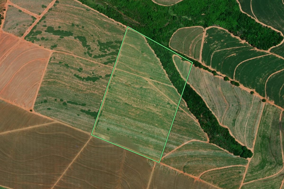 Imagem de satélite do imóvel rural em Novais (SP), com o contorno declarado no CAR desenhado por cima.