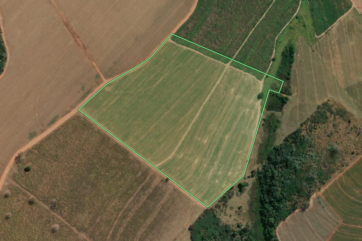 Imagem de satélite do imóvel rural em Nova Luzitânia (SP), com o contorno declarado no CAR desenhado por cima.