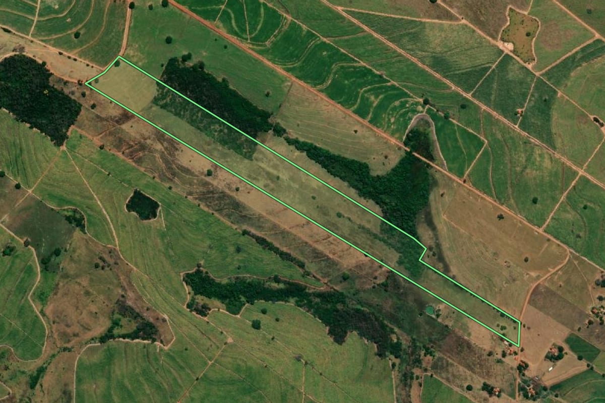 Imagem de satélite do imóvel rural em Nova Luzitânia (SP), com o contorno declarado no CAR desenhado por cima.