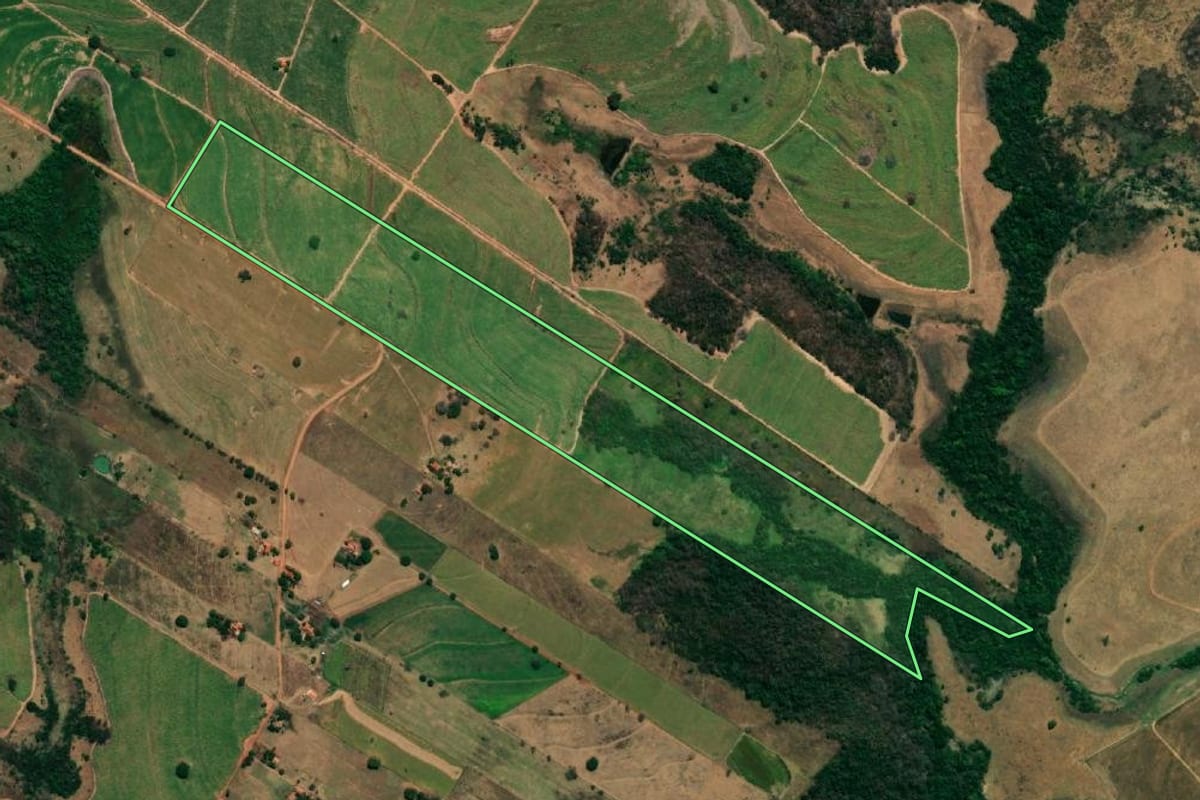 Imagem de satélite do imóvel rural em Nova Luzitânia (SP), com o contorno declarado no CAR desenhado por cima.