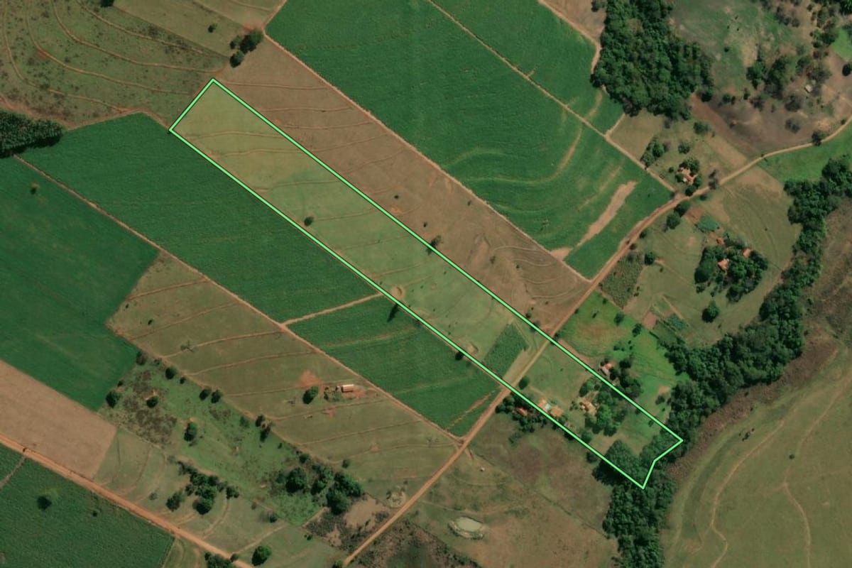 Imagem de satélite do imóvel rural em Nova Luzitânia (SP), com o contorno declarado no CAR desenhado por cima.