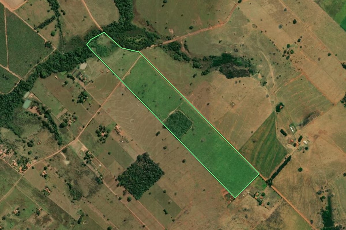 Imagem de satélite do imóvel rural em Nova Luzitânia (SP), com o contorno declarado no CAR desenhado por cima.