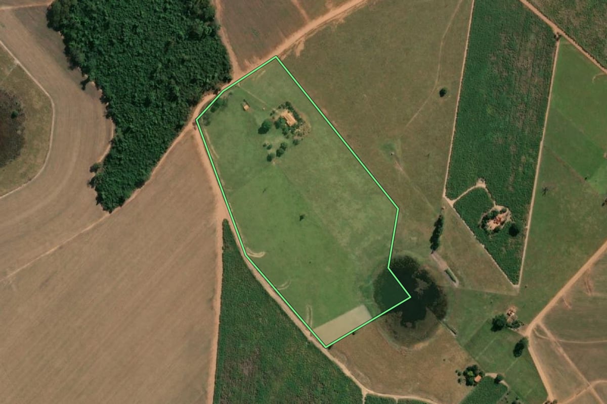 Imagem de satélite do imóvel rural em Nova Luzitânia (SP), com o contorno declarado no CAR desenhado por cima.