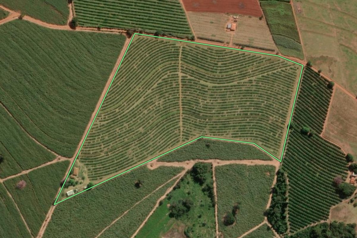 Imagem de satélite do imóvel rural em Novo Horizonte (SP), com o contorno declarado no CAR desenhado por cima.