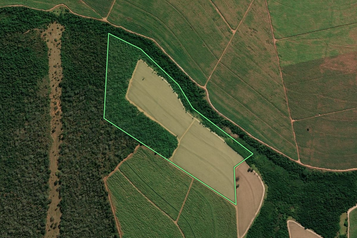 Imagem de satélite do imóvel rural em Novo Horizonte (SP), com o contorno declarado no CAR desenhado por cima.