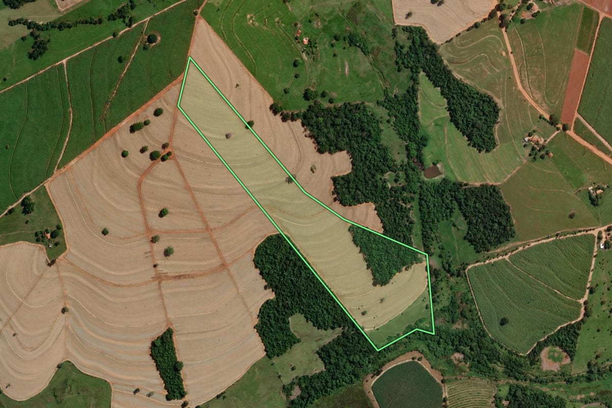 Imagem de satélite do imóvel rural em Novo Horizonte (SP), com o contorno declarado no CAR desenhado por cima.