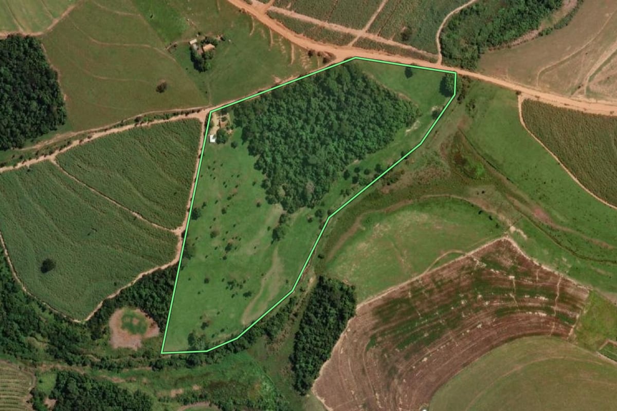 Imagem de satélite do imóvel rural em Novo Horizonte (SP), com o contorno declarado no CAR desenhado por cima.
