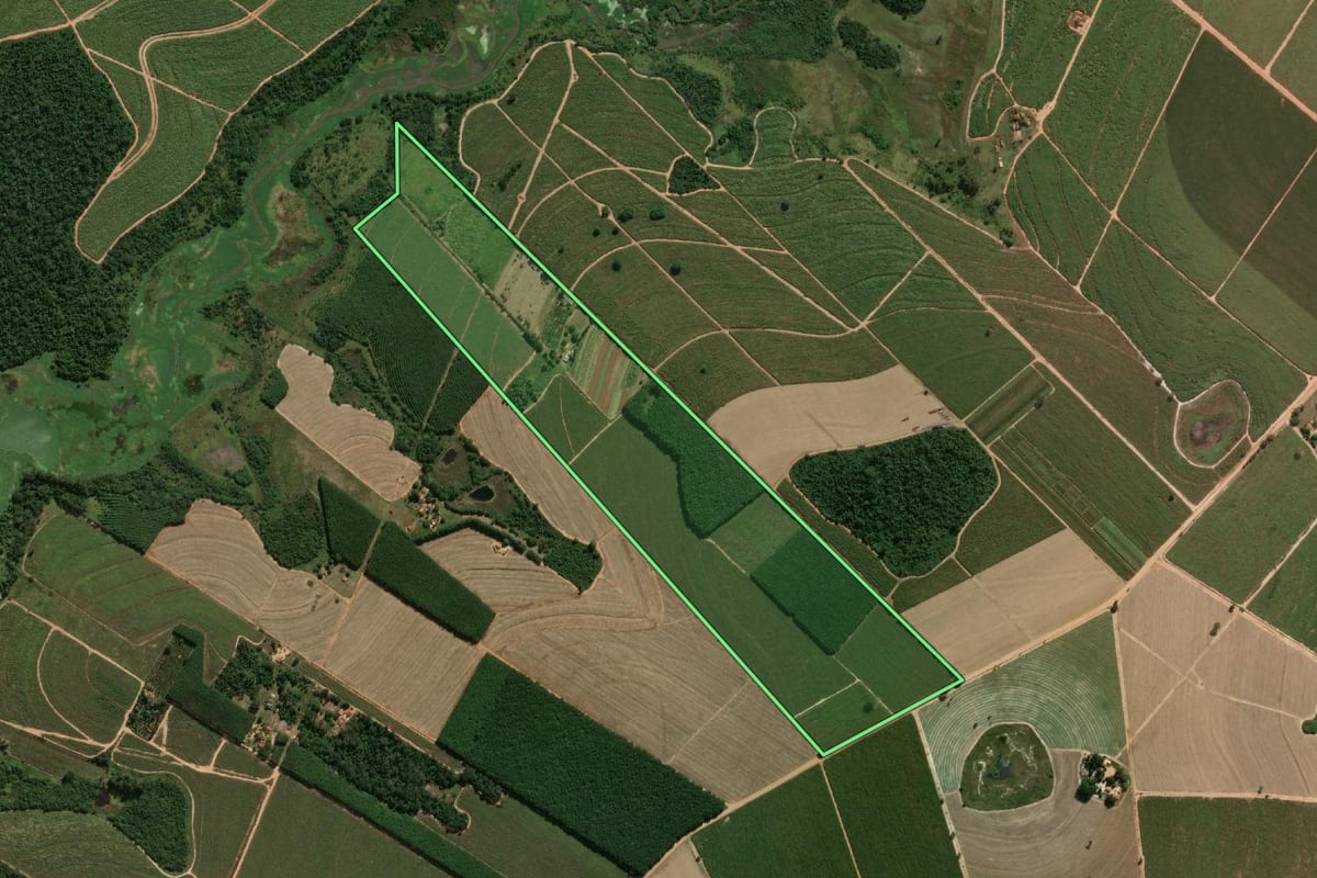 Imagem de satélite do imóvel rural em Novo Horizonte (SP), com o contorno declarado no CAR desenhado por cima.