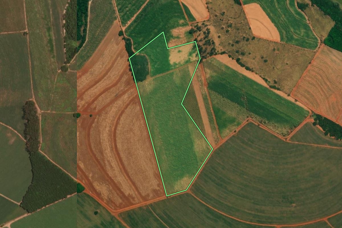 Imagem de satélite do imóvel rural em Novo Horizonte (SP), com o contorno declarado no CAR desenhado por cima.