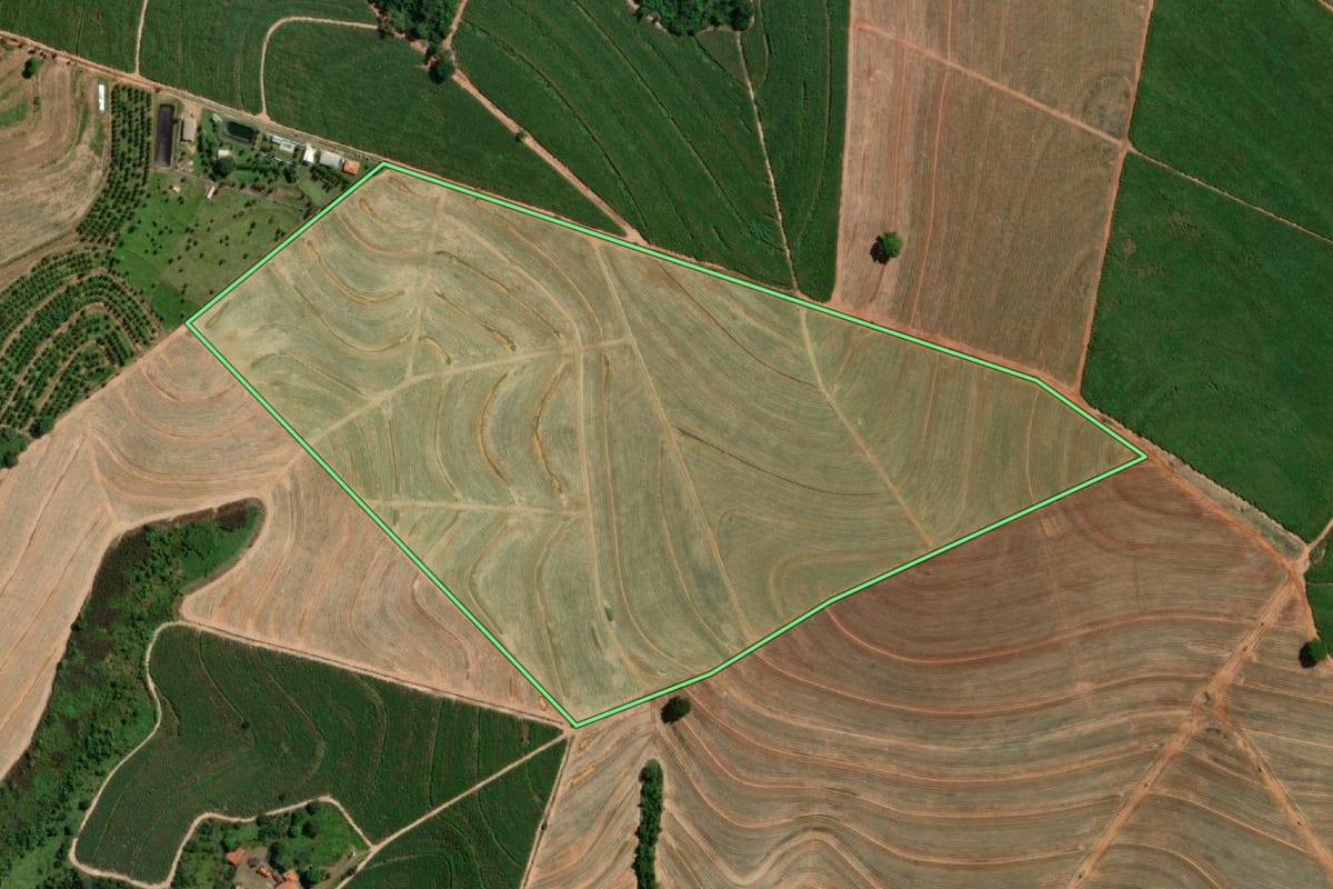 Imagem de satélite do imóvel rural em Novo Horizonte (SP), com o contorno declarado no CAR desenhado por cima.
