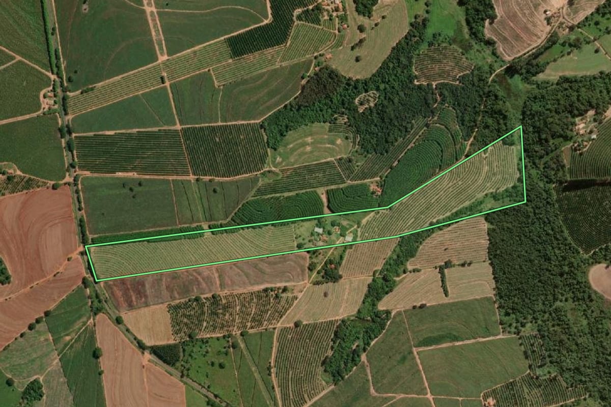 Imagem de satélite do imóvel rural em Novo Horizonte (SP), com o contorno declarado no CAR desenhado por cima.