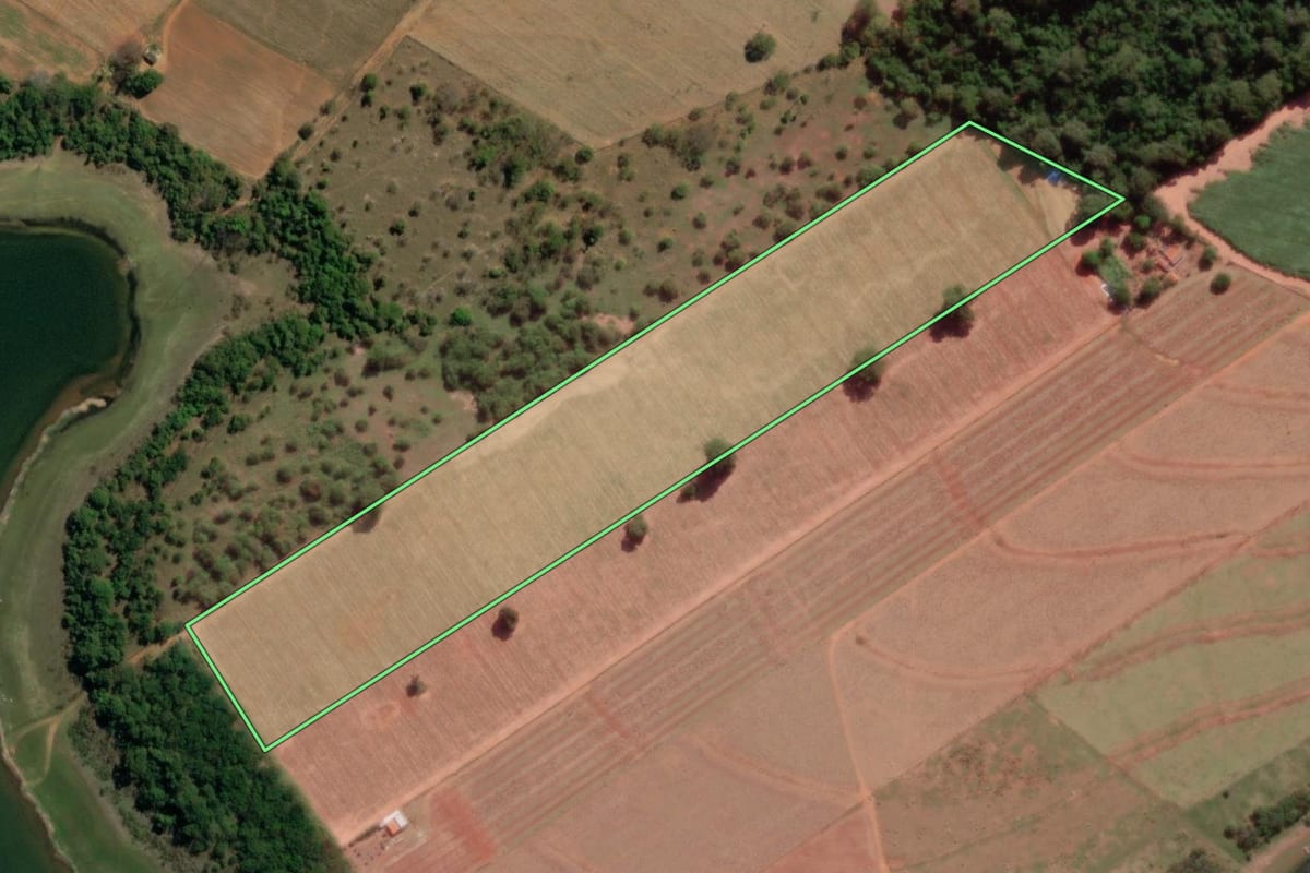 Imagem de satélite do imóvel rural em Novo Horizonte (SP), com o contorno declarado no CAR desenhado por cima.