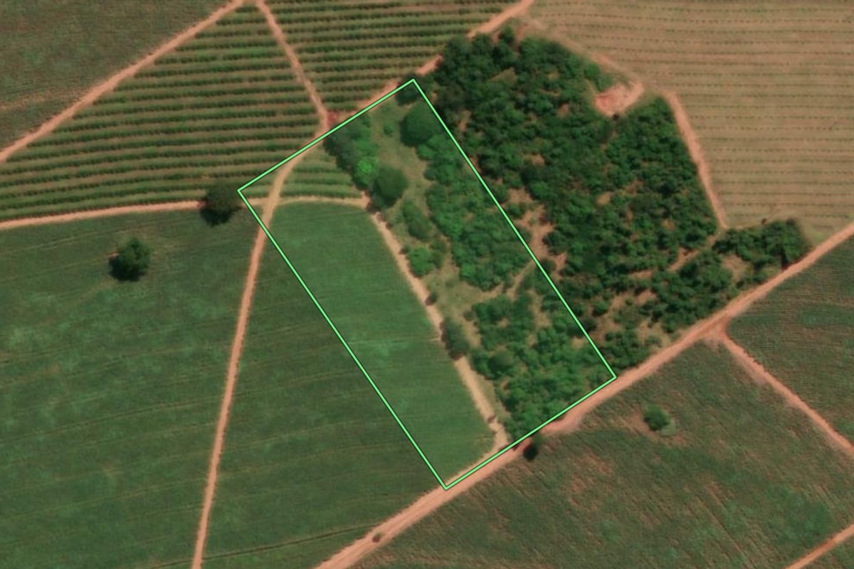 Imagem de satélite do imóvel rural em Novo Horizonte (SP), com o contorno declarado no CAR desenhado por cima.