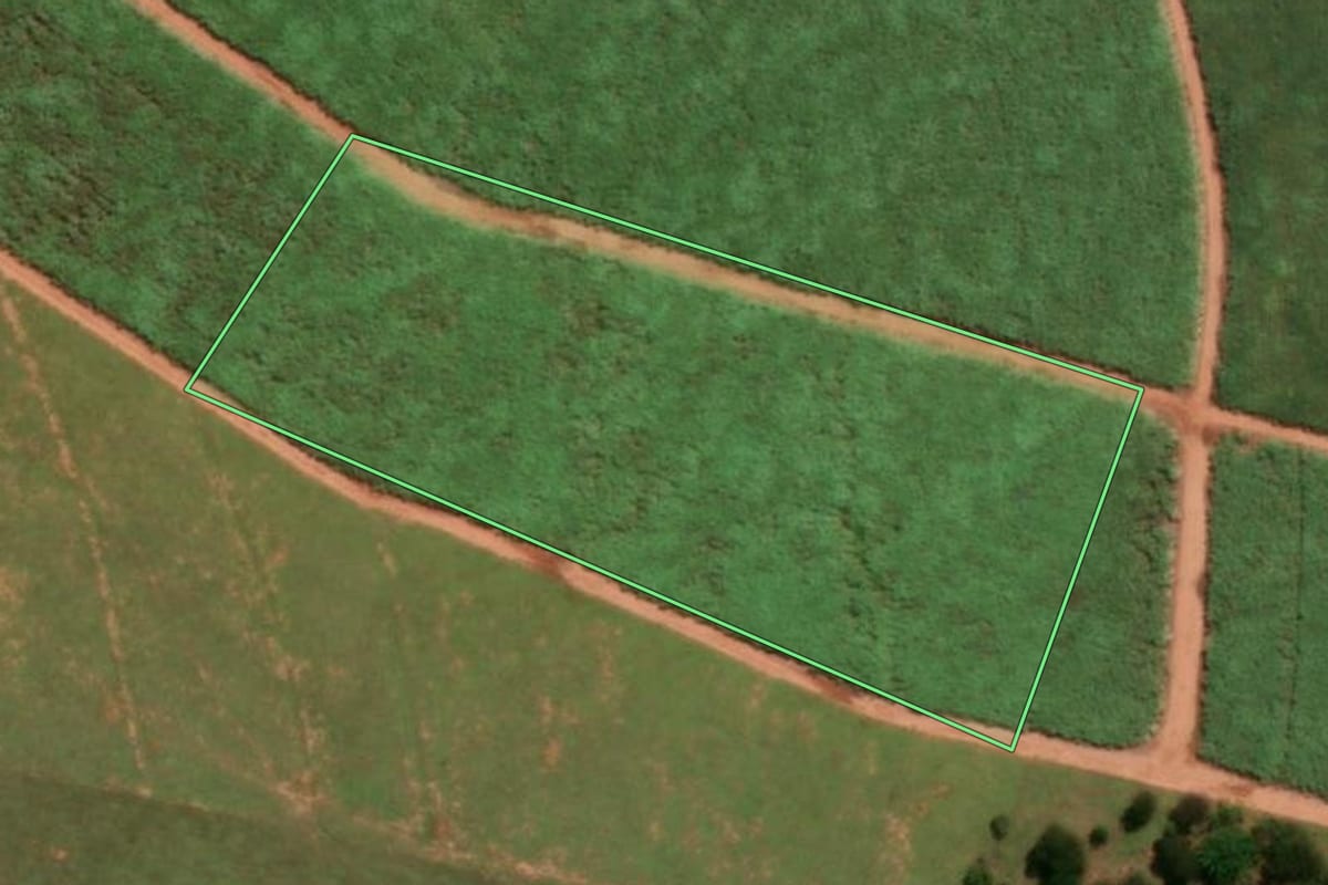 Imagem de satélite do imóvel rural em Novo Horizonte (SP), com o contorno declarado no CAR desenhado por cima.