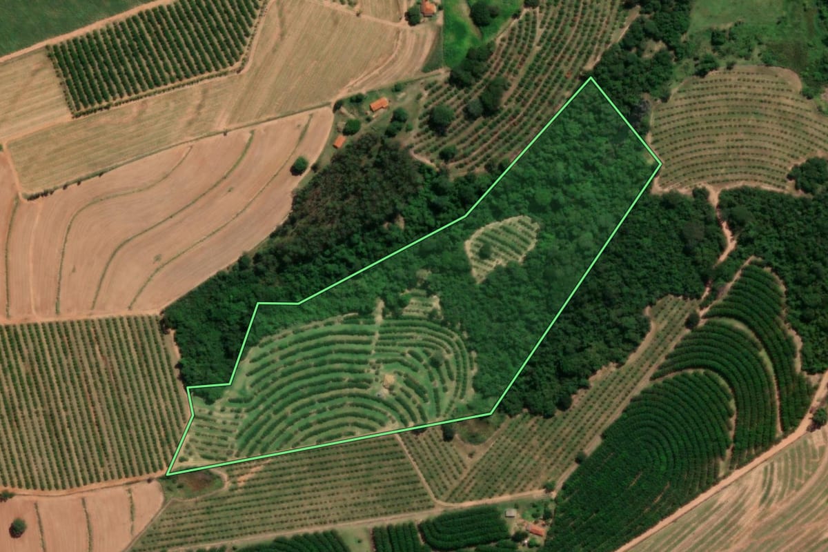 Imagem de satélite do imóvel rural em Novo Horizonte (SP), com o contorno declarado no CAR desenhado por cima.