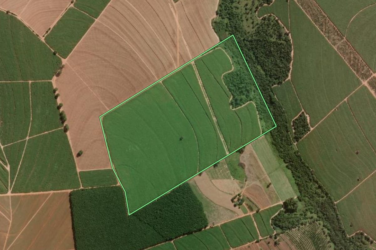 Imagem de satélite do imóvel rural em Novo Horizonte (SP), com o contorno declarado no CAR desenhado por cima.