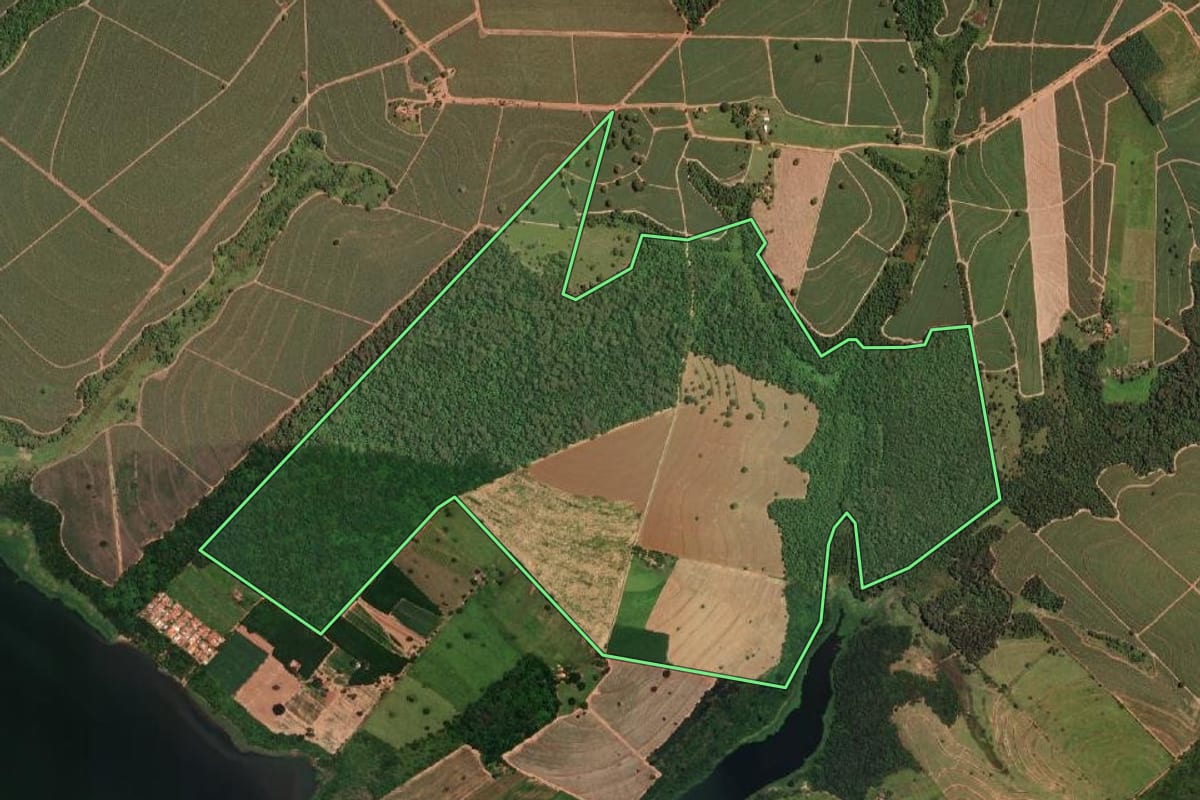 Imagem de satélite do imóvel rural em Novo Horizonte (SP), com o contorno declarado no CAR desenhado por cima.